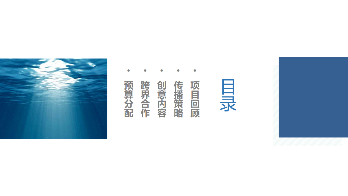 2016微鲸微投上市推广-数字整合创意内容规划方案【创意营销】.pdf 第2页