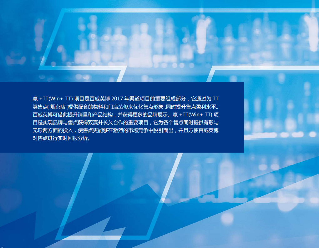 2017哈尔滨白啤TT渠道项目执行手册【快消品】.pdf 第2页