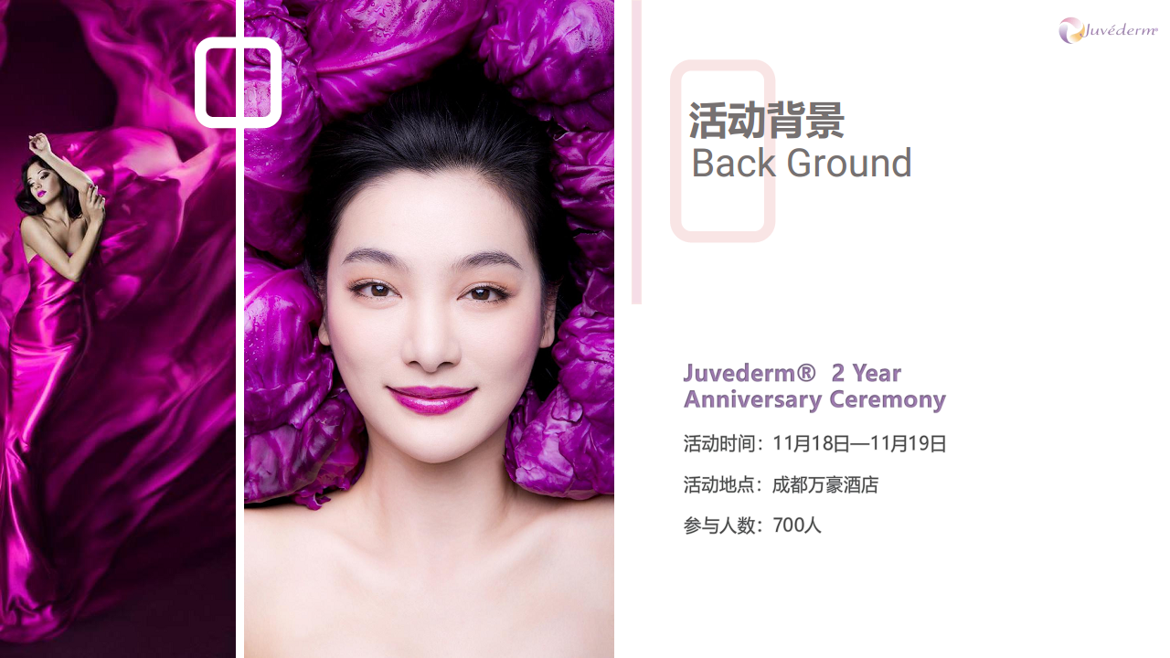2017玻尿酸品牌乔雅登上市二周年策划方案【医疗美容】.pdf 第2页