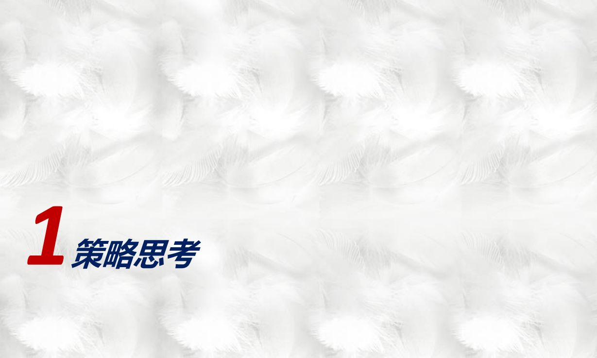 2014丹姿悦植粹数字营销创意推广方案-蓝标【新媒体运营】.pdf 第3页