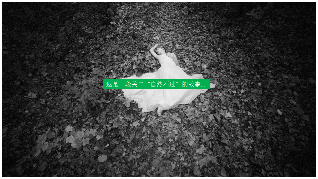 2017中建昭山印象品牌发布会活动策划方案【发布会】【地产】.pptx 第2页