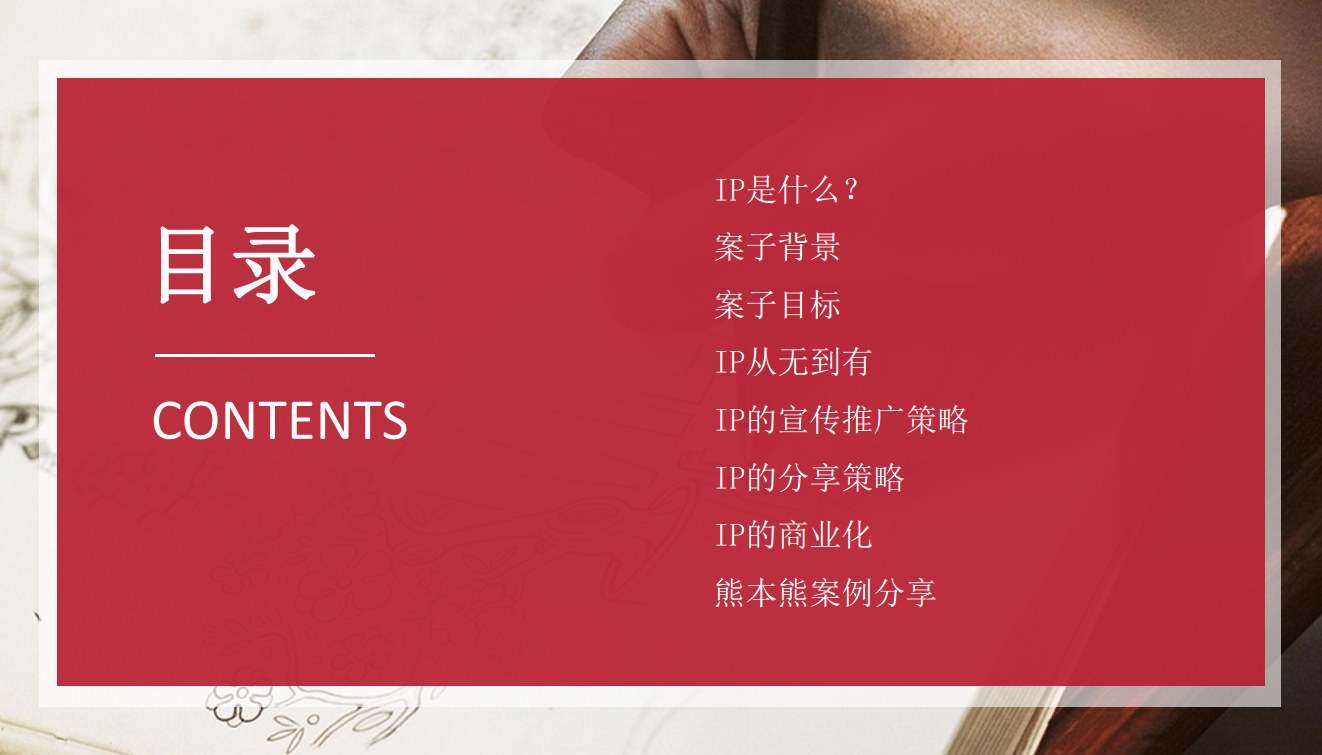 2017动漫IP营销策划简案【动漫】.pdf 第2页