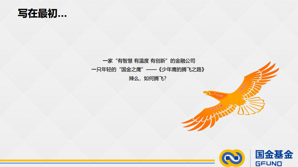 2017年度国金基金传播方案-好耶广告【金融】.pdf 第2页