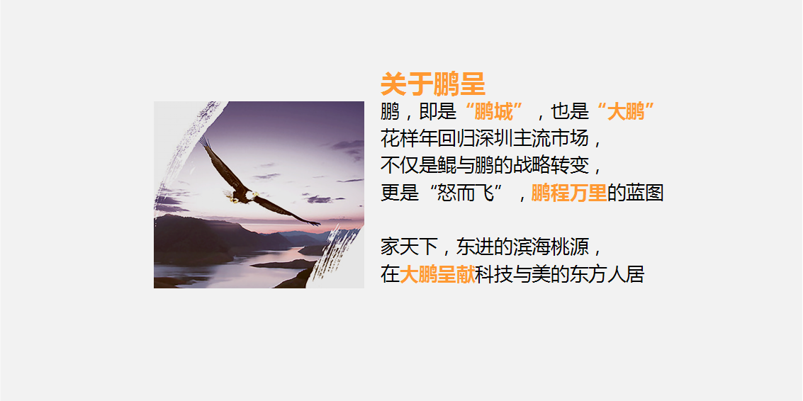 2017花样年家天下品牌发布会策划方案【发布会】.pptx 第2页