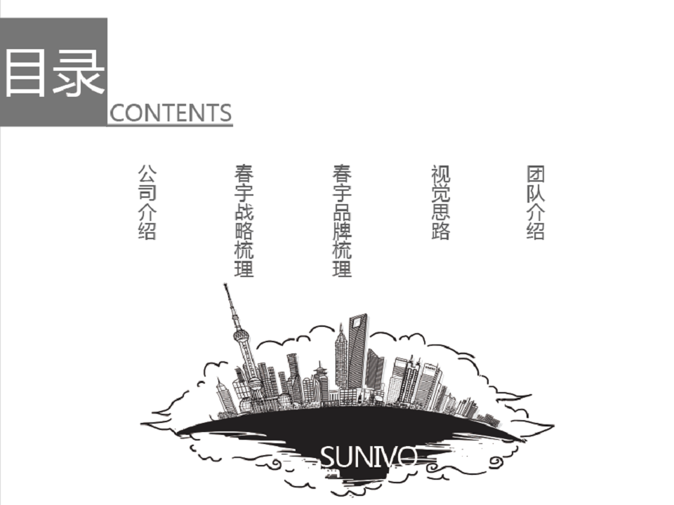 Sunivo品牌战略规划手册【品牌手册】.pdf 第2页