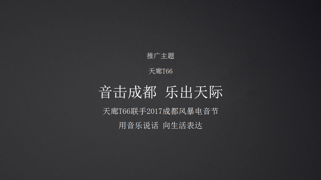 2017天廊T66风暴音乐节及开盘推广方案【音乐节】【开盘活动】.pptx 第3页