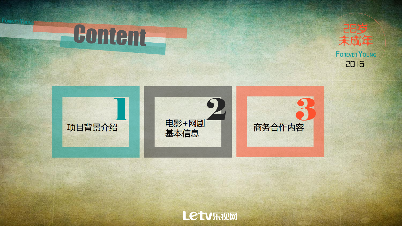 2016 28岁未成年招商方案【招商方案】.pdf 第2页