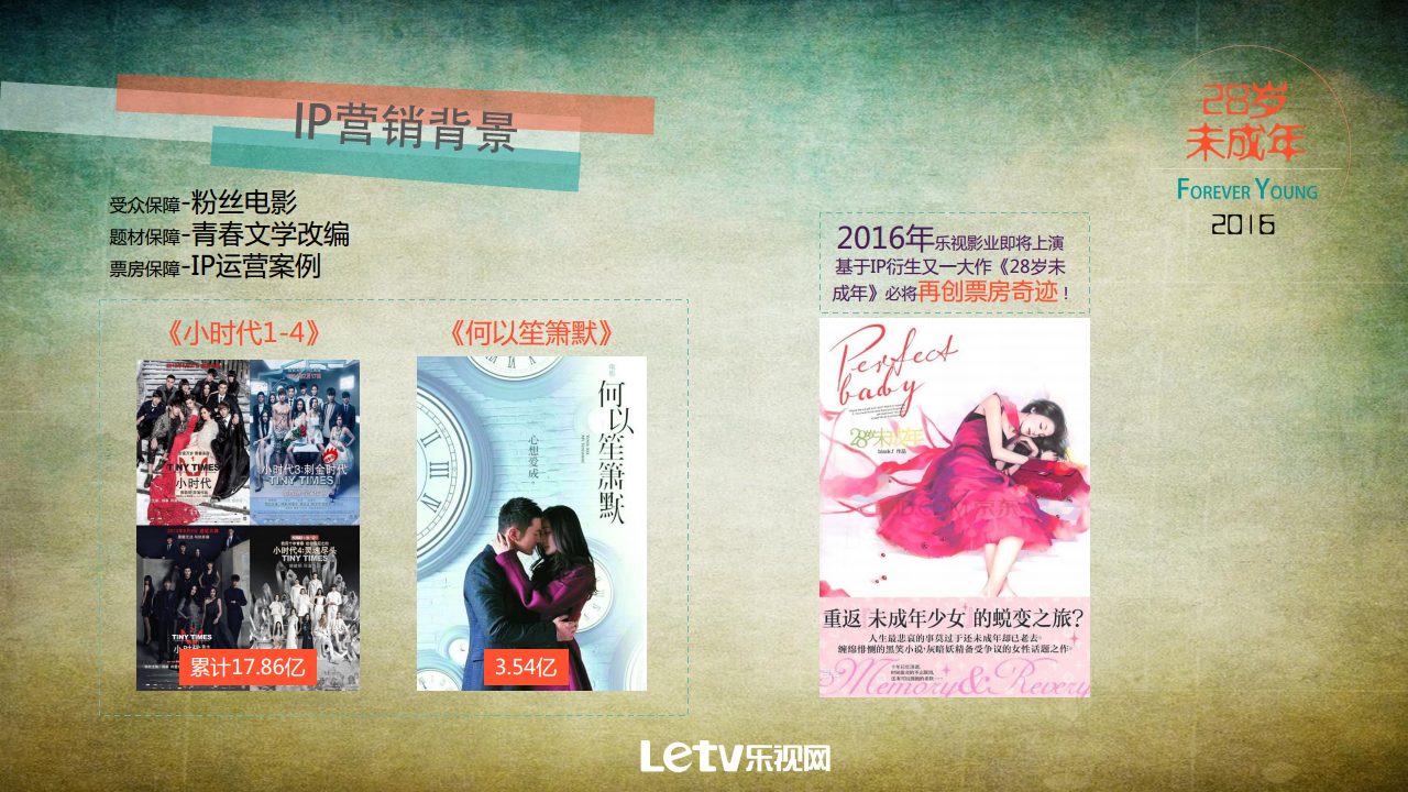 2016 28岁未成年招商方案【招商方案】.pdf 第3页