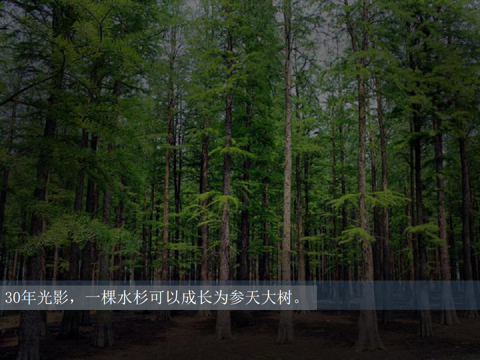 2017北京奔驰春季经营管理团队沟通会策划方案【汽车】.pdf 第3页