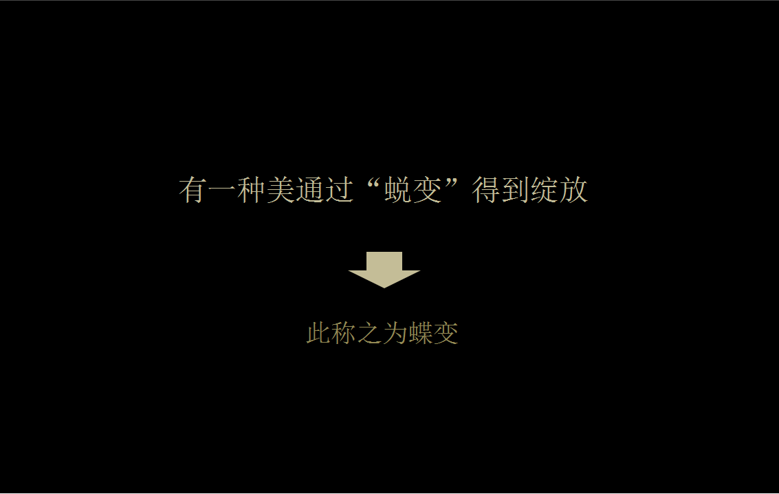 2017荣安蝶园产品说明会策划案【地产】【发布会】.ppt 第2页
