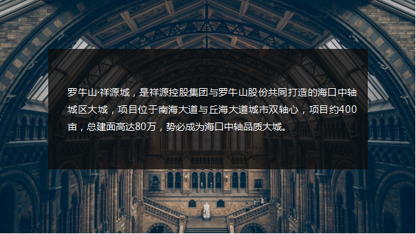 2017罗牛山祥源城项目发布会活动方案【发布会】【地产】.pptx 第2页