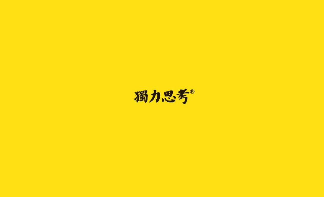 独立思考广告-招商提案【招商方案】.pdf 第2页