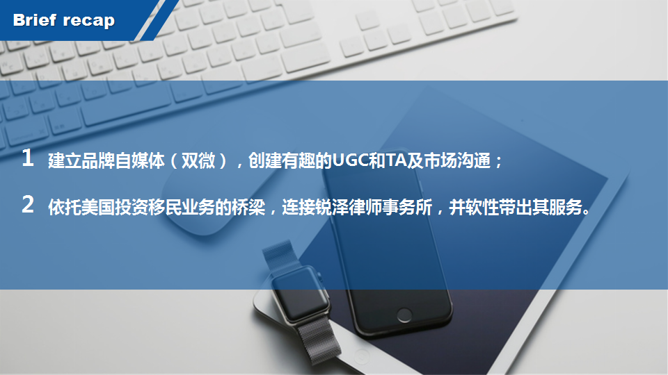 2017年移民 服务型网站社会化营销方案-蓝标【新媒体运营】.pptx 第2页