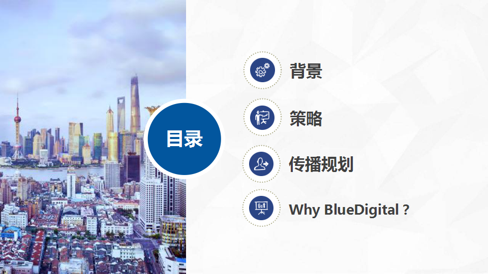 2017年移民 服务型网站社会化营销方案-蓝标【新媒体运营】.pptx 第3页