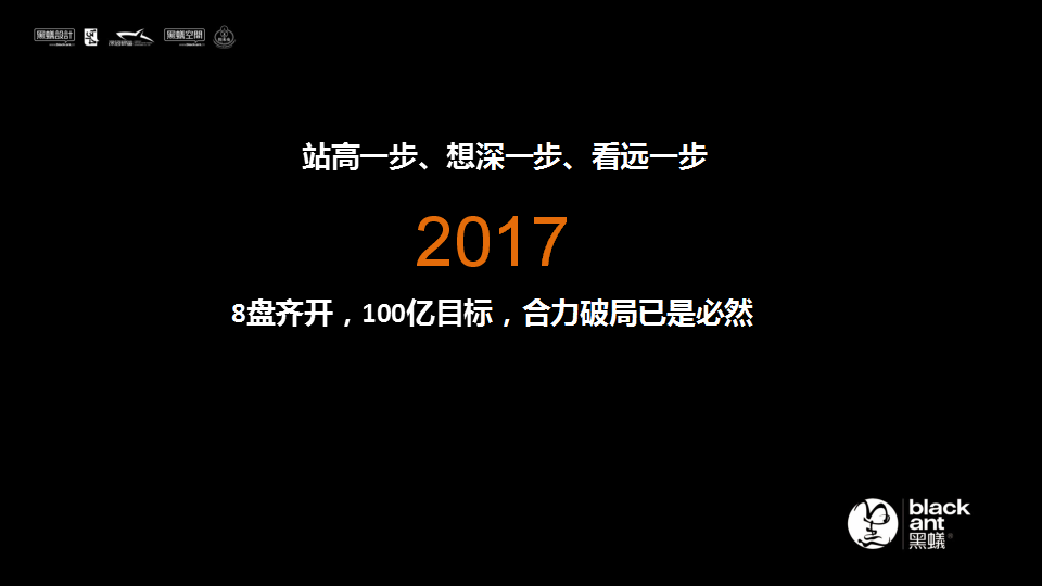 2017鲁能城方案提报【地产】.ppt 第3页