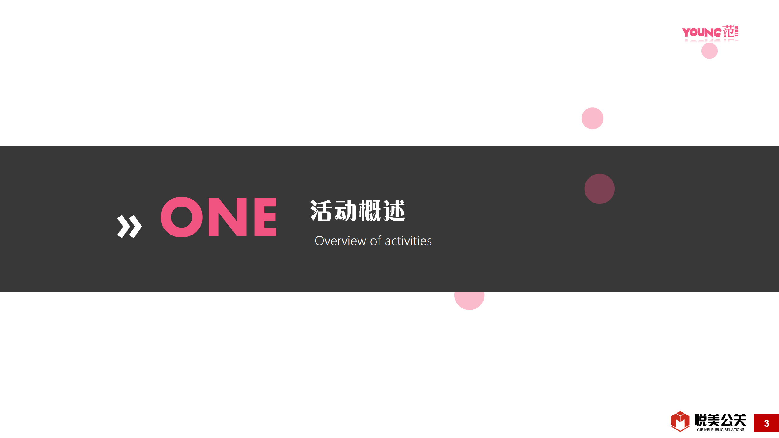 2017湖南株洲YOUNG范MALL开业活动方案【开业活动】.pdf 第3页