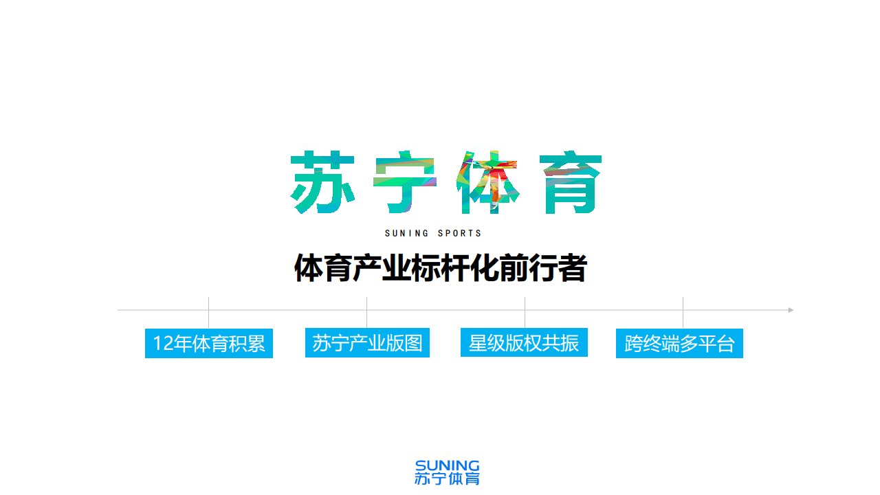 2017苏宁体育中超合作伙伴计划.pdf 第3页