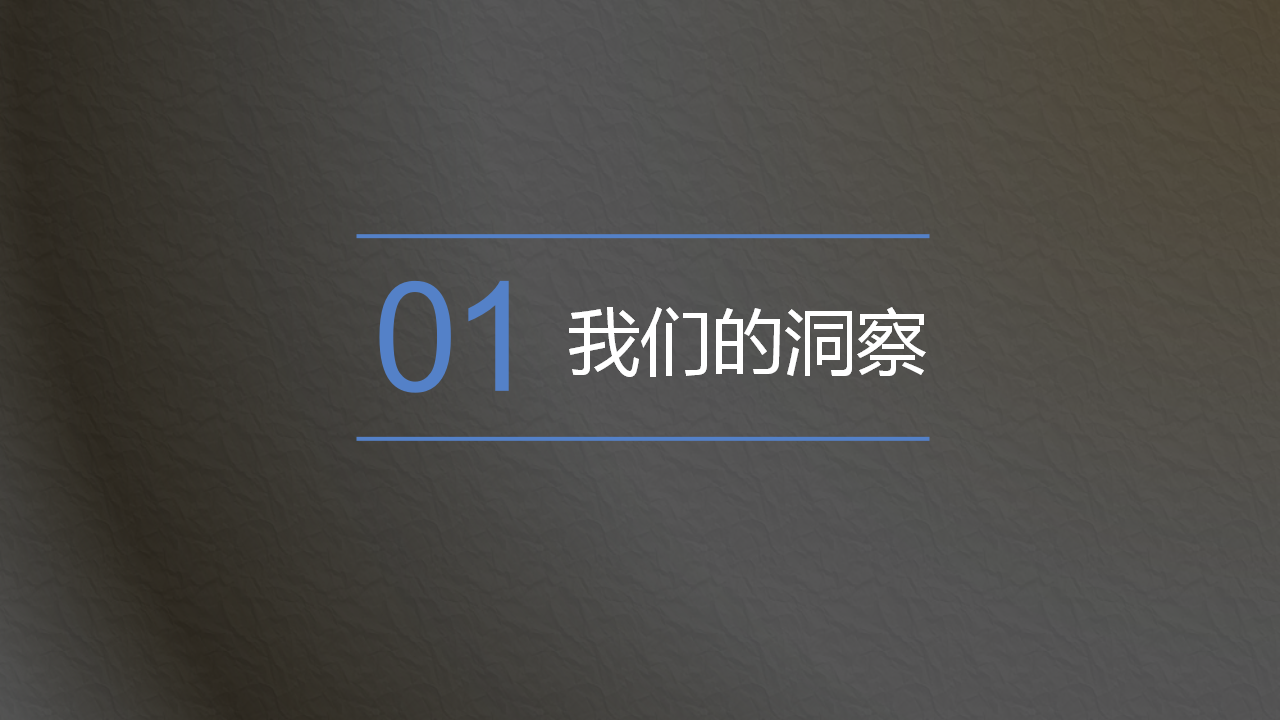 2016伊美尔品牌重塑方案【品牌策略】.pptx 第3页