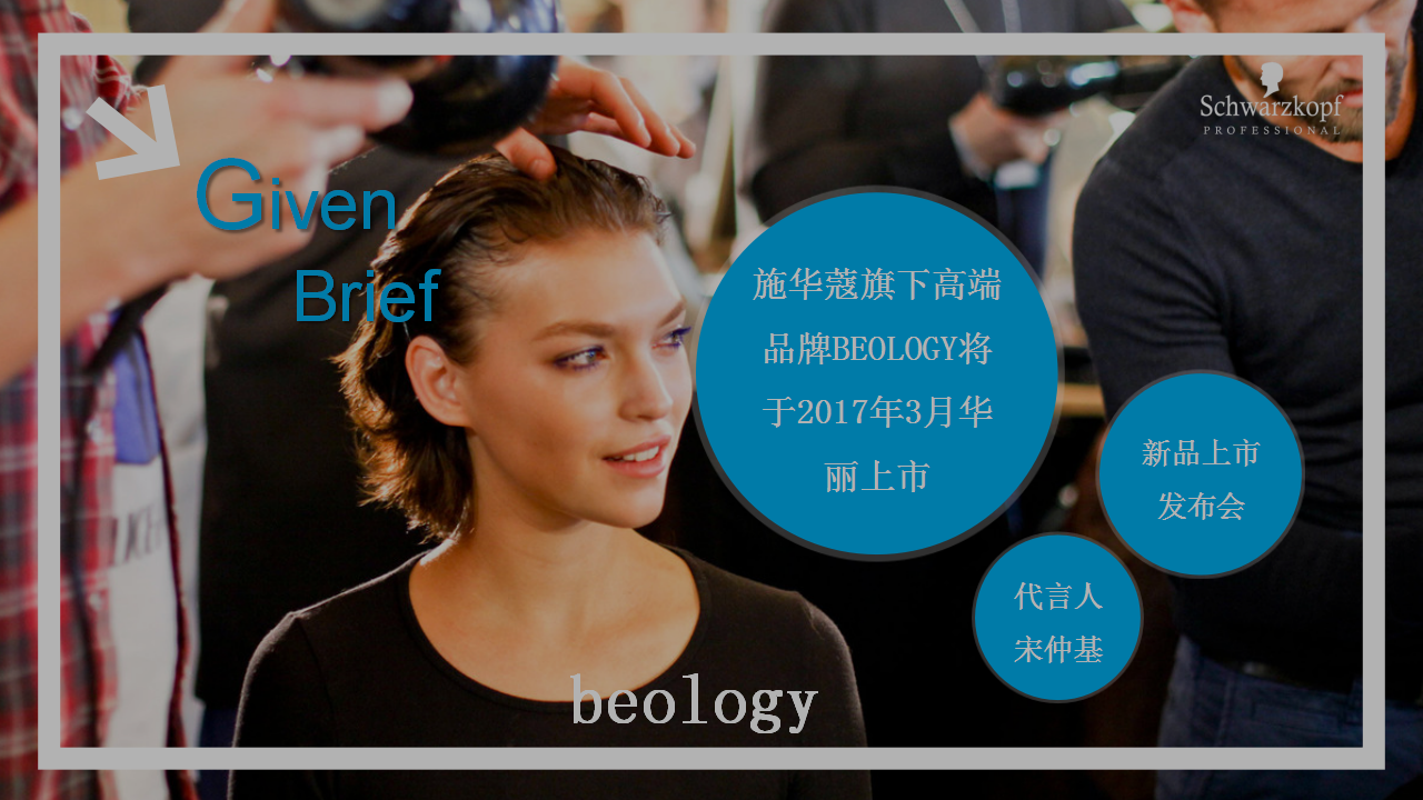 2017施华蔻新产品BEOLOGY上市营销活动方案【发布会】.pptx 第2页