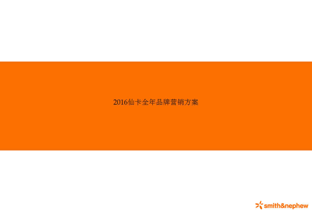 2016化妆品施乐辉仙卡全年品牌营销方案-奥美行动【品牌策略】.pps 第2页