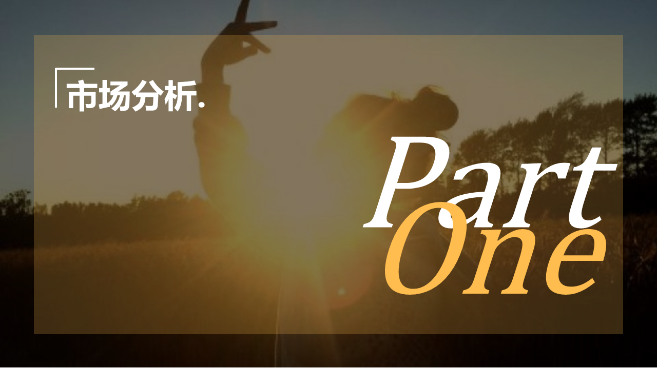 2018阳光城高明项目传播方案.pdf 第2页