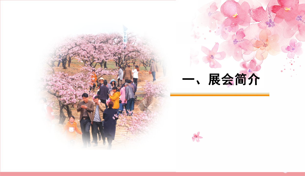 2017尚市桃花节招商方案【节庆策划】.ppt 第3页