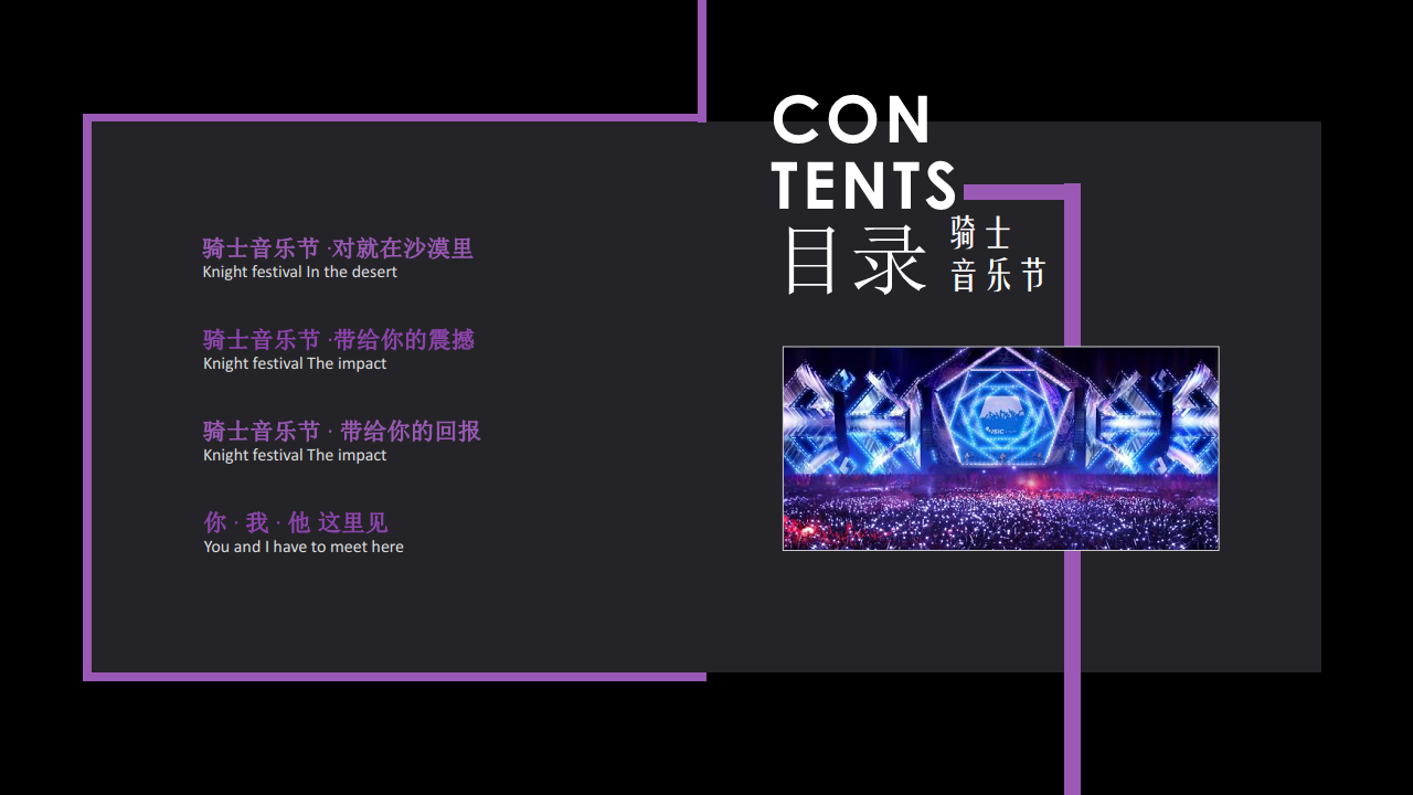 2017内蒙古骑士音乐嘉年华招商方案【音乐节】.pdf 第2页