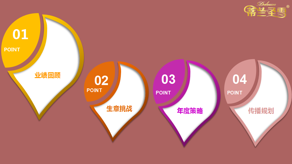 2015年蒂兰圣雪品牌策略【品牌策略】.pptx 第2页