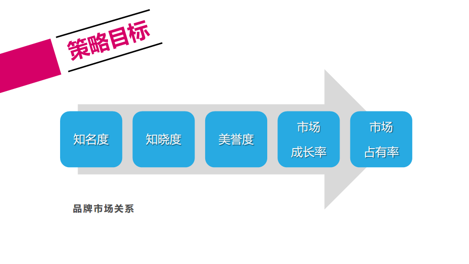 2016年比德文电动车年度公关传播案【新媒体运营】.pdf 第2页