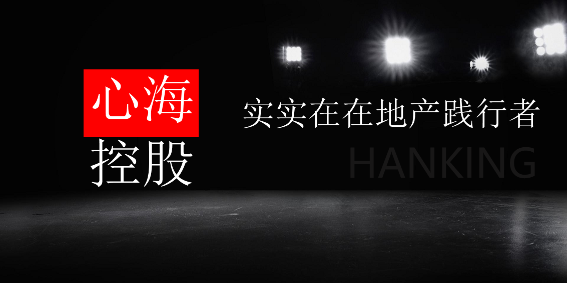 2017心海控股品牌战略发布策划案.pdf 第3页