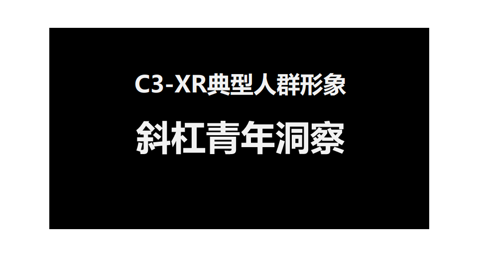2016东风雪铁龙新媒体传播方案-花椒【新媒体运营】.pdf 第3页