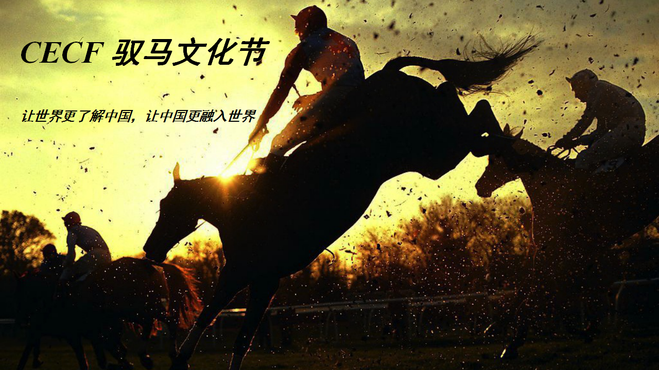 2016CHINA EQUINE CULTURAL FESTIVAL COMMUNICATION PLAN-奥美【文化节】.ppt 第2页