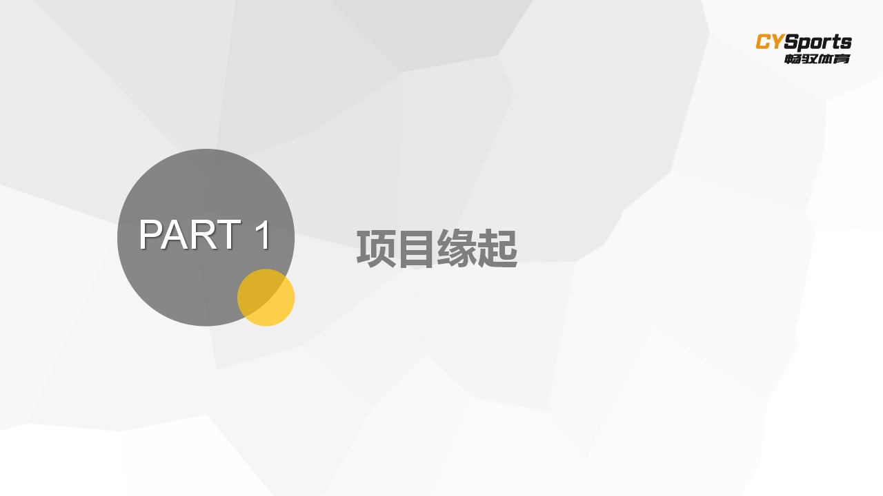 2017金桥运动汇活动方案【体育】.pptx 第3页