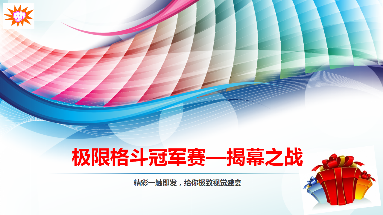 2017极限格斗冠军赛活动方案【格斗】.pptx 第3页