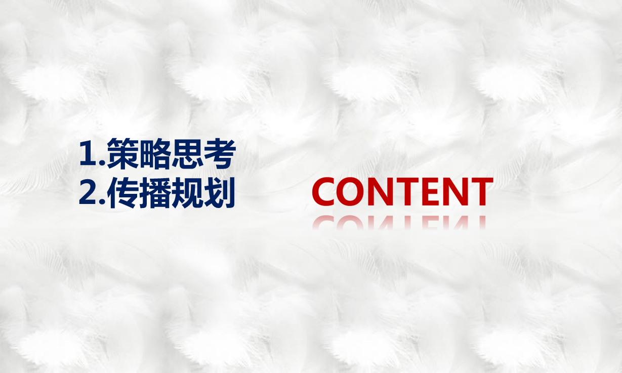 2014丹姿悦植粹数字营销创意推广方案-蓝标【美妆护肤】.pdf 第2页