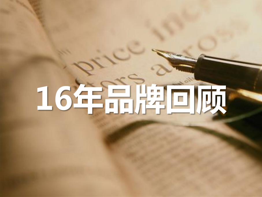 2017诚新二手车年度品牌策略【汽车】.pptx 第2页