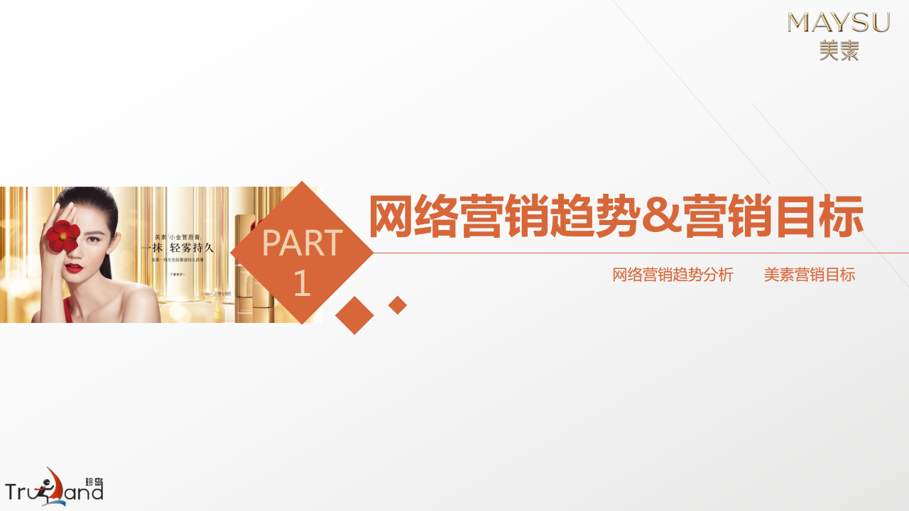 美素化妆品互联网整合营销方案【美妆护肤】.pdf 第3页