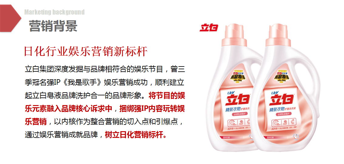 立白-《偶像来了》娱乐营销真姿态【综艺】.pptx 第2页