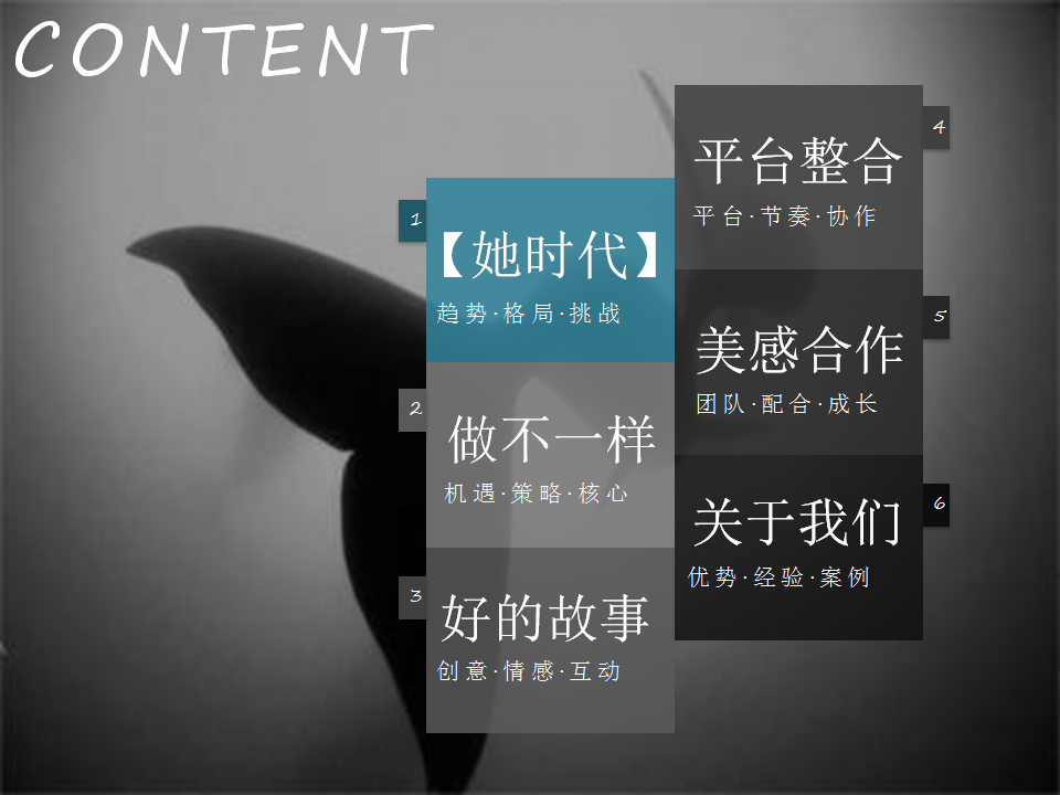 海蓝之谜社交媒体营销方案【美妆护肤】.pptx 第2页
