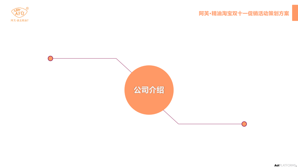 2014阿芙&bull;精油双十一推广活动策划方案【双十一】.pptx 第2页