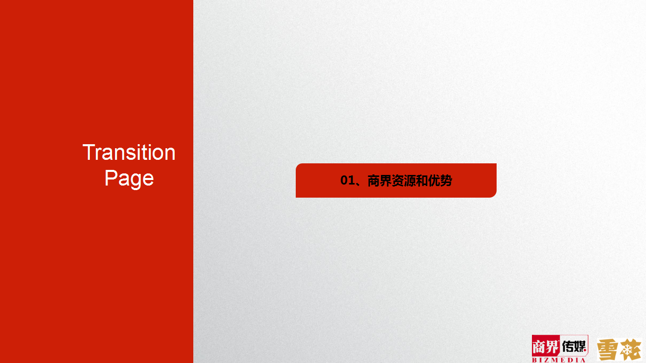 2015雪花啤酒内容策划案【快消品】.pptx 第3页