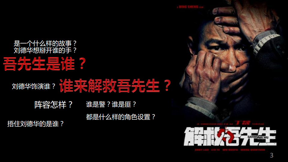 电影《解救吾先生》郁金香合作方案【电影】.pdf 第3页