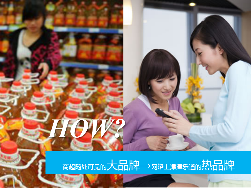 2015年金龙鱼社会化营销方案【快消品】.pptx 第3页