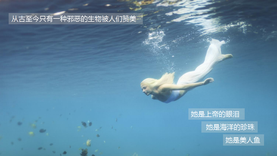 2016周星驰电影《美人鱼》 汽车行业招商方案【汽车】.pptx 第3页