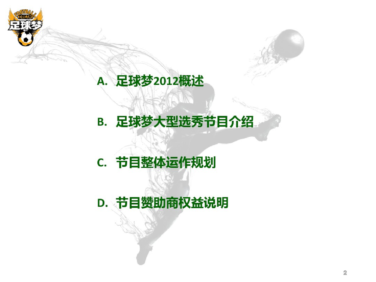 2012足球梦城市对抗赛方案【足球】.pdf 第2页