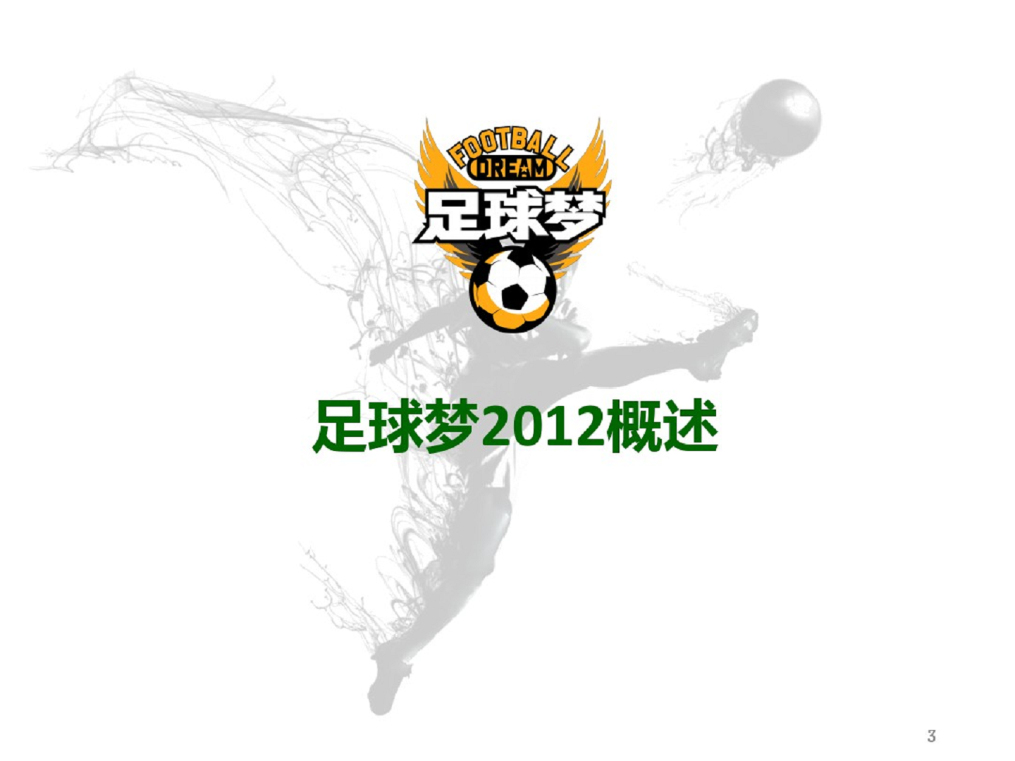 2012足球梦城市对抗赛方案【足球】.pdf 第3页