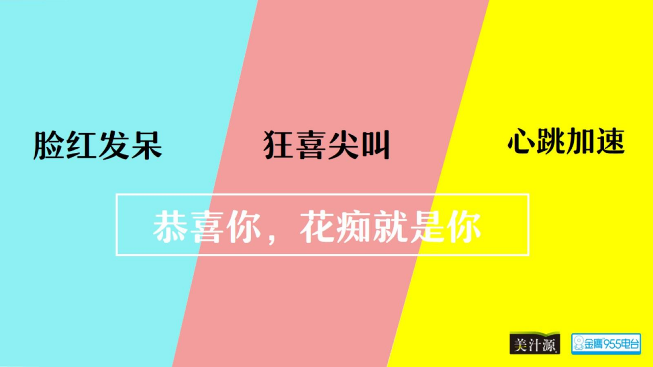 2017夏日甜心花痴大赛暨胡歌见面会策划案【活动策划】.pdf 第3页