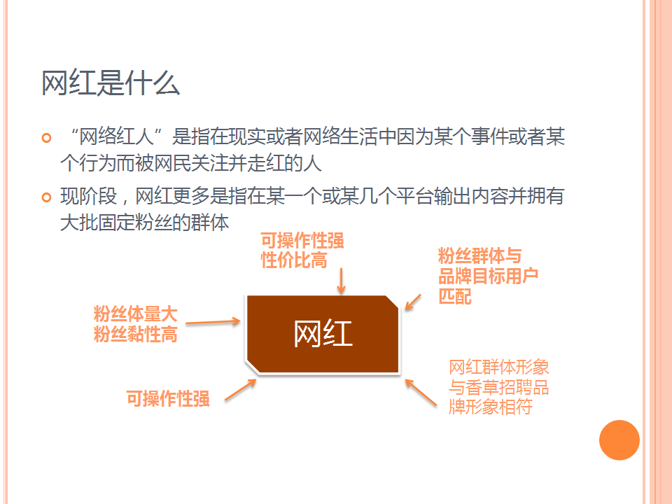 香草招聘网红代言人传播方案【互联网】.pptx 第3页