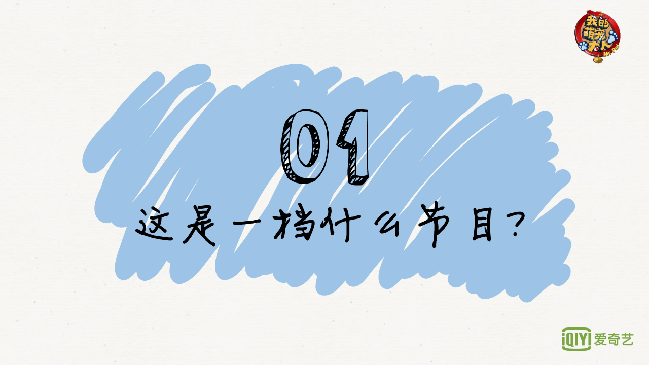 2017爱奇艺综艺《我的萌宠大人》商业招商方案【通案】【综艺】.pdf 第2页