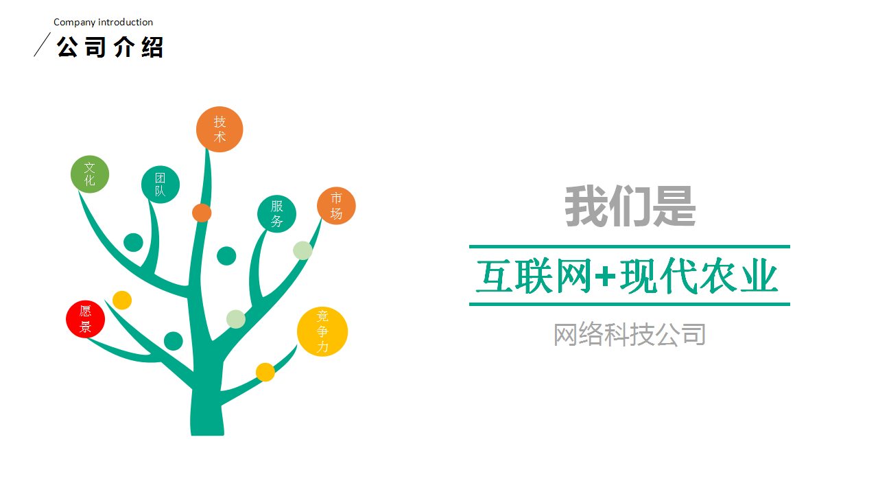 农业公司互联网+项目推广合作方案【互联网】.pptx 第3页